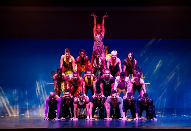 Animasyon Gösterisi